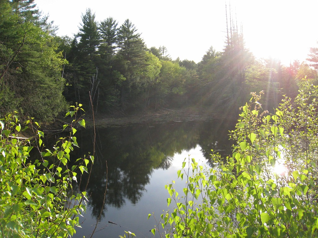 Tilton NH Rail Trail 2010 0395.jpg - Winnipesaukee River Trail, Franklin New HampshireTrestle View ParkInterested in taking a walk or bike ride on a scenic historic trail close to the downtowns of the twin rivers area, yet with the feel of wilderness. A 3 mile trail parallels the Winnipesauke river and passes the historic Sulphite upside down covered bridge believed to be the only one in the country and listed on the national register of historic places. You will also view mill ruins and remaining portions of dams that tell the history of the 5 mills that operated on this river in the mid 19th century.